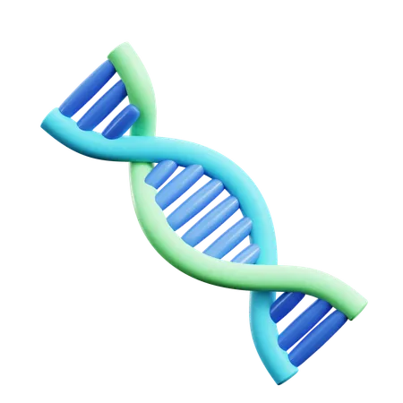 Human Dna  3D Icon