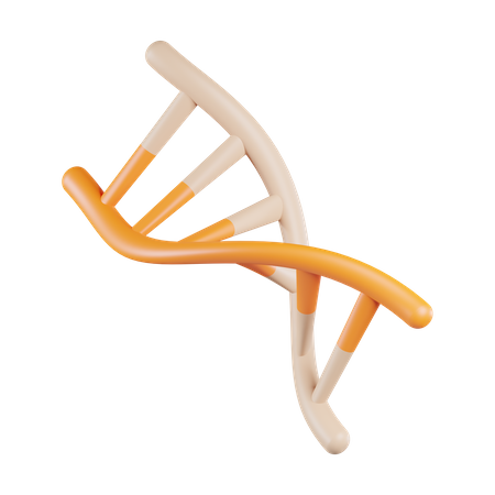Human DNA  3D Icon