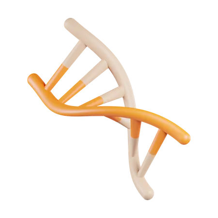 Human DNA  3D Icon