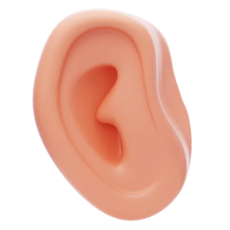 Ear 3 D Icon Realistic Human Ear 3 D Icon 3D Icon