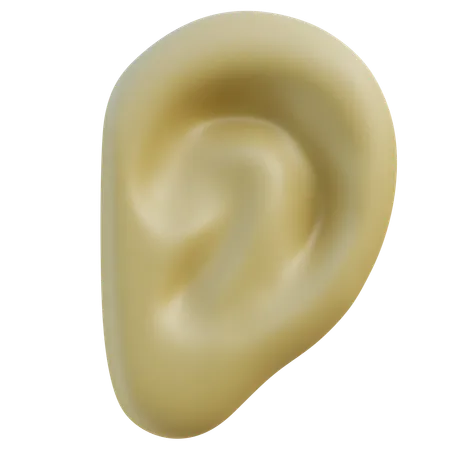 High Quality 3 D Render Of A Human Ear Accurately Displaying Its Complex Structure 3D Icon