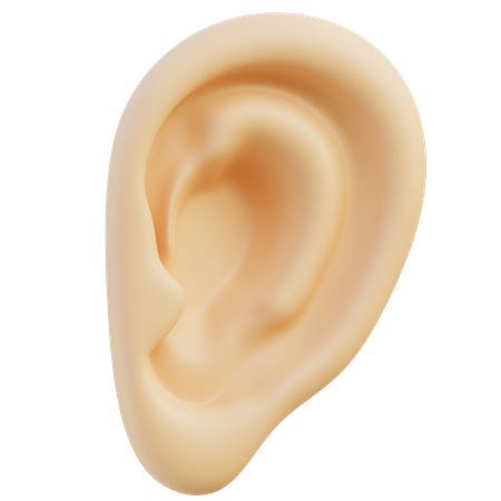 人間の耳  3D Icon