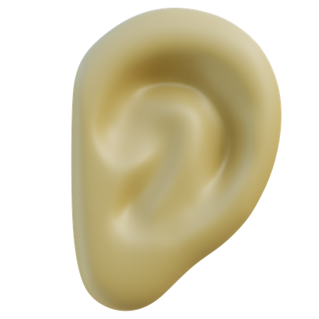 Human Ear  3D Icon