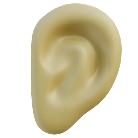 Human Ear  3D Icon