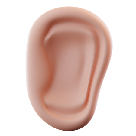 Human Ear  3D Icon