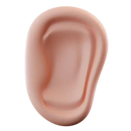 Human Ear  3D Icon