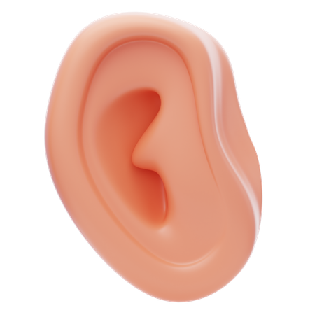 Human Ear  3D Icon