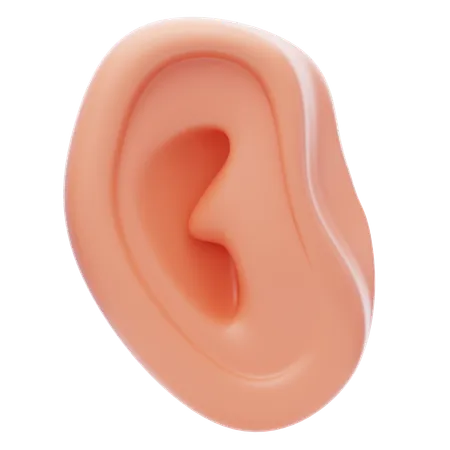 Human Ear  3D Icon