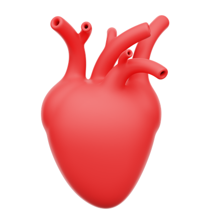 Human heart  3D Icon