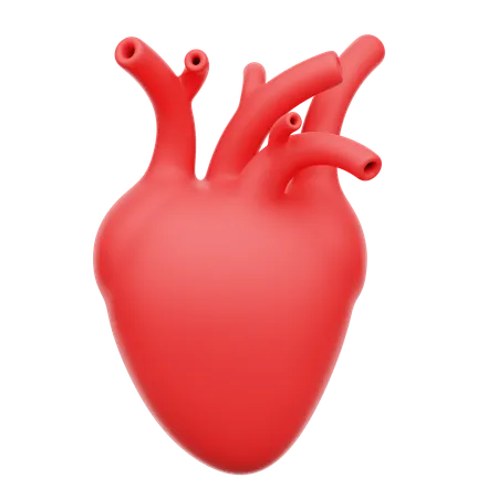 Human heart  3D Icon