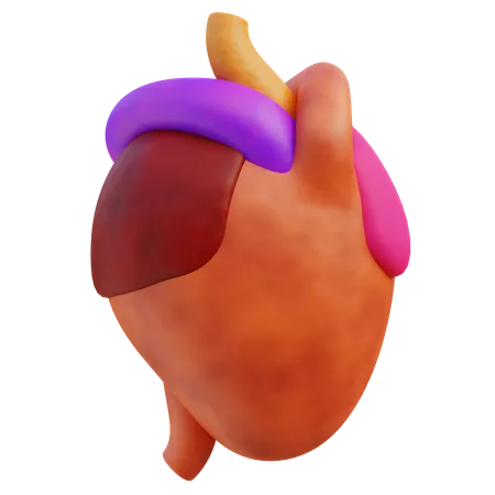 A Vibrant 3 D Rendering Of The Human Heart Anatomy With Highlighted Coronary Arteries Aortic Valve And Atrium 3D Icon