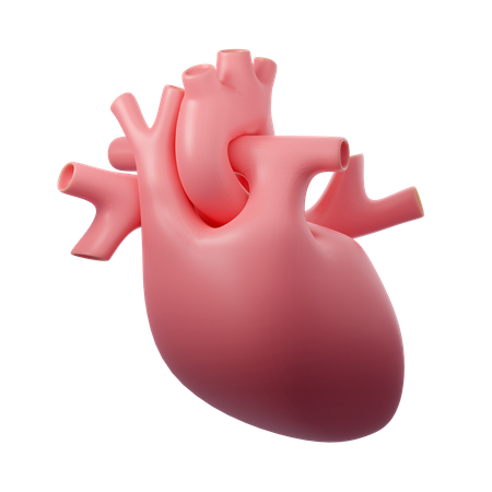 Human Heart  3D Icon