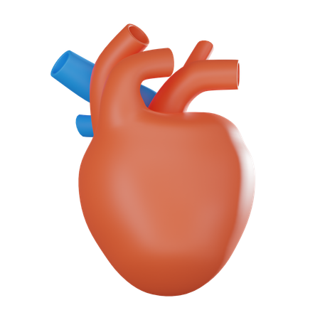 Human Heart  3D Icon