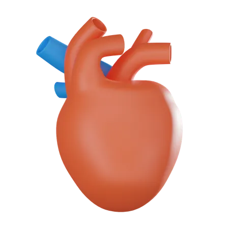 Human Heart  3D Icon