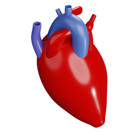 Human Heart  3D Icon