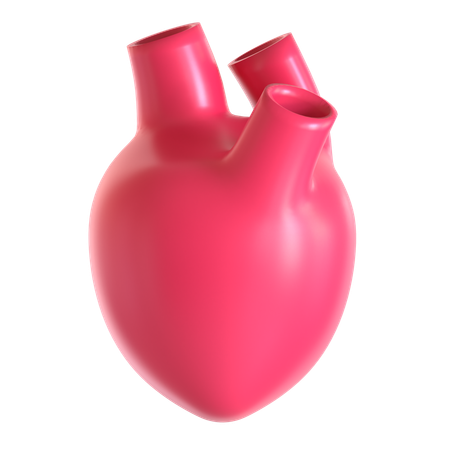 Human Heart  3D Icon