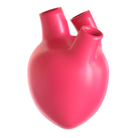 Human Heart  3D Icon