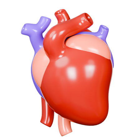 Human Heart  3D Icon
