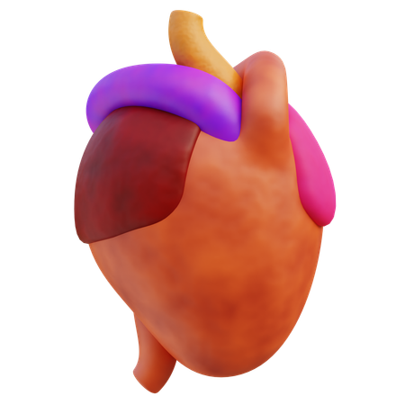 Human Heart  3D Icon