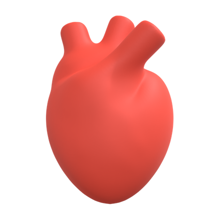 Human Heart  3D Icon