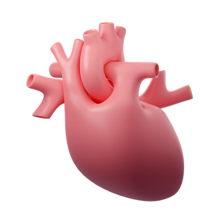 Human Heart  3D Icon