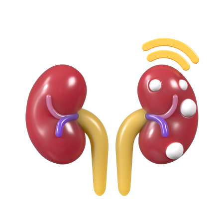 Human Kidney  3D Icon