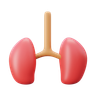 3d human kidney logo