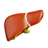 3d human liver illustration