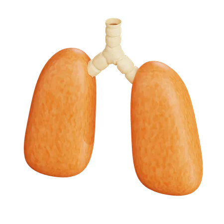 Human Lung  3D Icon
