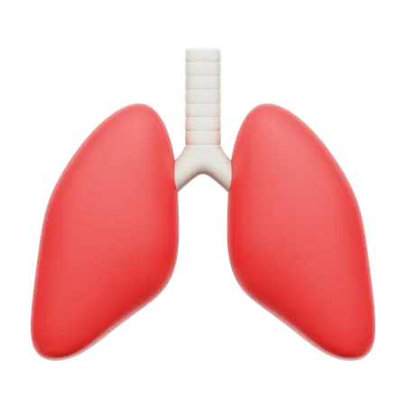 Human lung  3D Icon