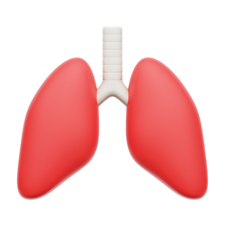 Human lung  3D Icon