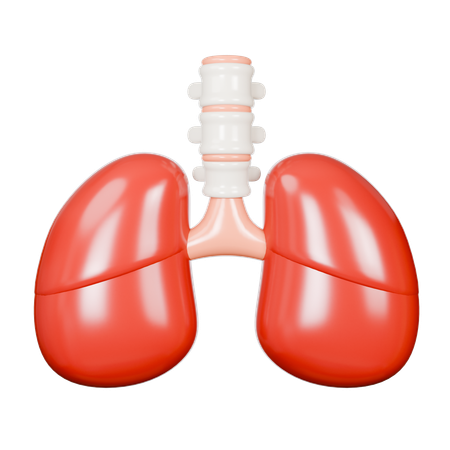 Human Lung  3D Icon