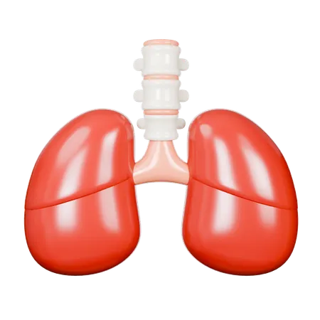 Human Lung  3D Icon