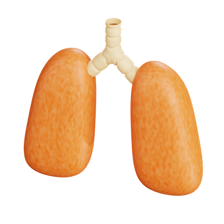 Human Lung  3D Icon