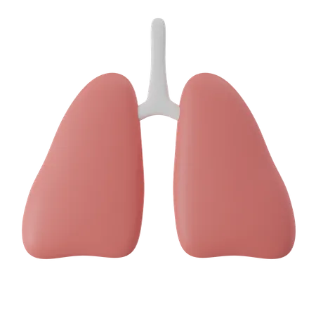 Anatomical Rendering Of Human Lung Medical Science And Healthcare Concept 3D Icon