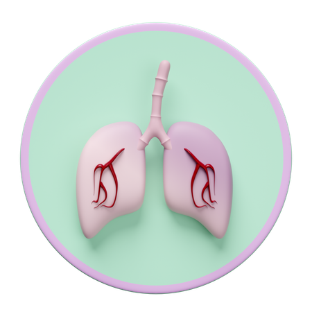 Human Lungs  3D Icon