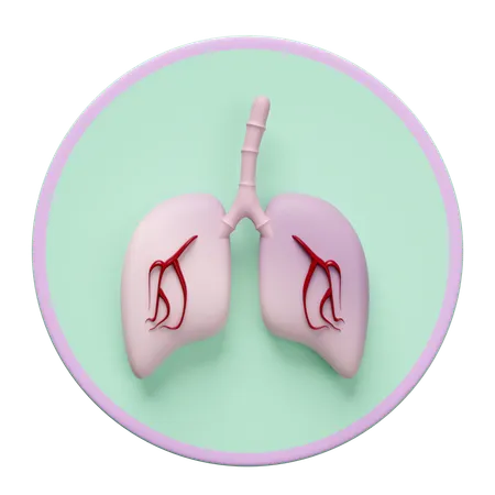 Human Lungs  3D Icon