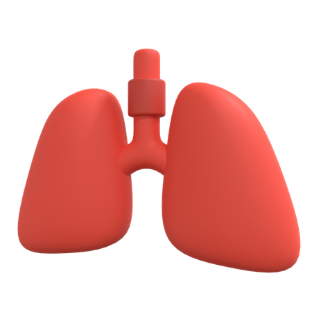 Human Lungs  3D Illustration