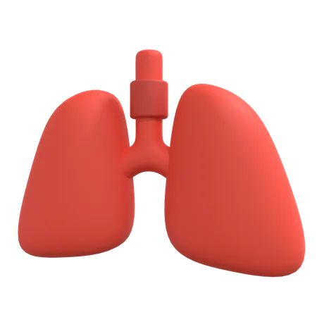 Human Lungs  3D Illustration