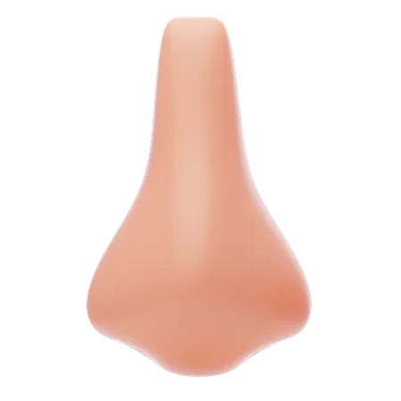 Nose 3 D Icon Human Nose Front View 3D Icon