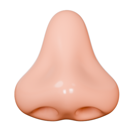 Human Nose  3D Icon