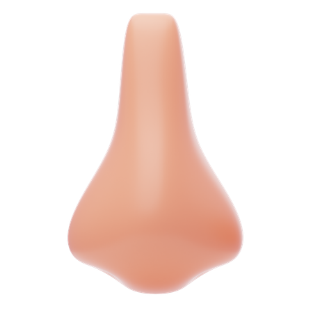 Human Nose  3D Icon