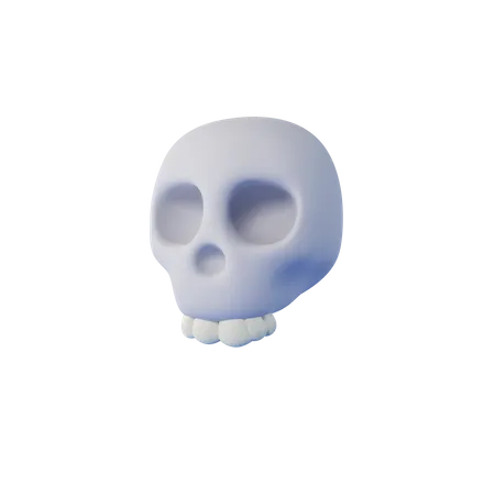 Human Skull  3D Icon