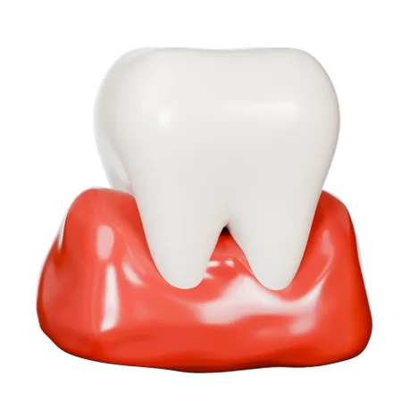 Human Tooth  3D Icon