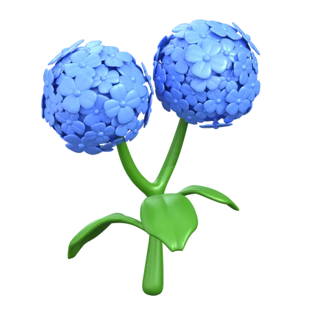 Hydrangea Flower  3D Icon