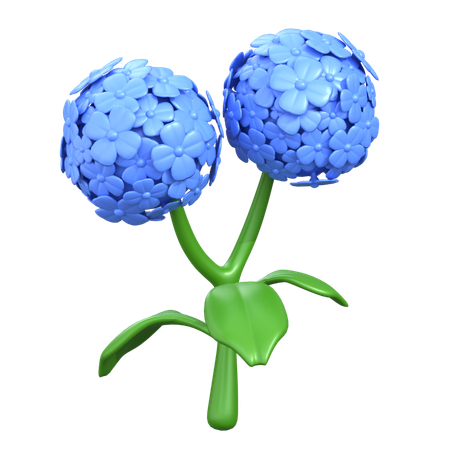 Hydrangea Flower  3D Icon