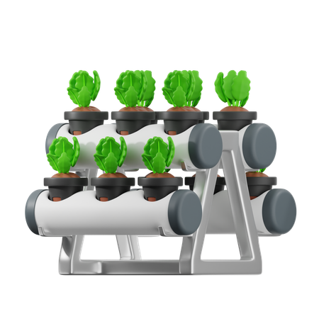 Hydroponic  3D Icon