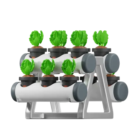 Hydroponic  3D Icon