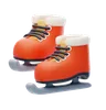 Ice Skate Shoes