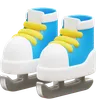 Ice Skate Shoes
